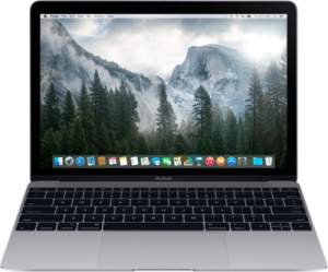 Apple MacBook MJY32RS/A Gray